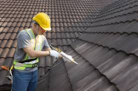 Best Roof Inspection  in USA